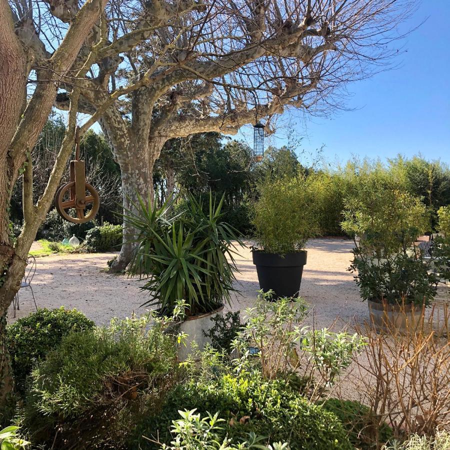 Les Interieurs D'Angele Bed and Breakfast Pernes-les-Fontaines Εξωτερικό φωτογραφία