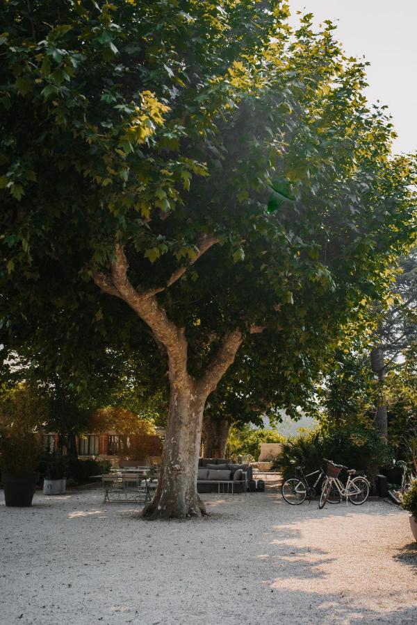 Les Interieurs D'Angele Bed and Breakfast Pernes-les-Fontaines Εξωτερικό φωτογραφία